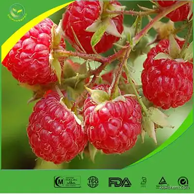 best quality Raspberry Ketone 5471-51-2 supplier with competitive price