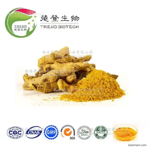 Natural 90% 95% HPLC Curcumin Powder Turmeric Root Extract