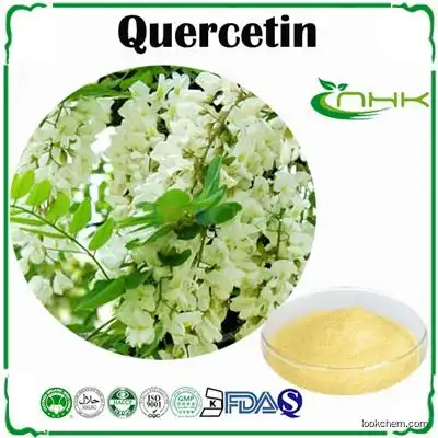 Natural Pure Quercetin Powder 95%,98%(6151-25-3)