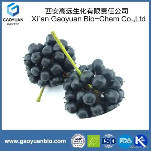 China supplier gaoyuan factory supply natural siberian ginseng p.e for anti-fatigue