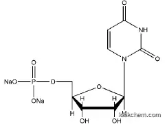 high purity Uridine 5'- Monophosphate Disodium Salt(3387-36-8)