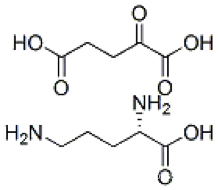 L-Ornithine-α-ketoglutarate (1:1)