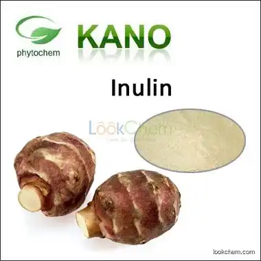 Hot Sale Inulin 90% Helianthus tuberosus L.(9005-80-5)
