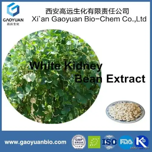 ISO certified factory supply high quality and resonable price products white kidney bean extract