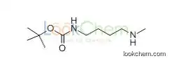 874831-66-0   C10H22N2O2   tert-Butyl 4-(methylamino)butylcarbamate