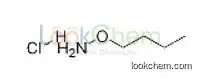 4490-82-8   C4H12ClNO    O-ButylhydroxylaMine Hydrochloride