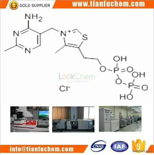 TIANFU-CHEM CAS:154-87-0 Cocarboxylase