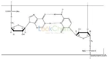 Polyinosinic-polycytidylic acid sodium salt(42424-50-0)