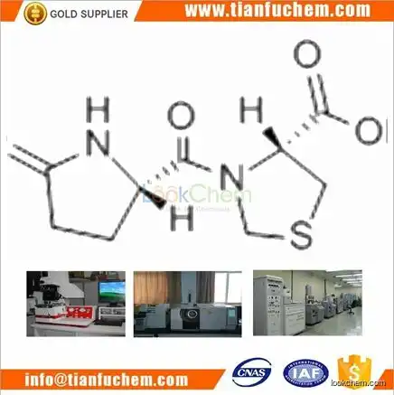 TIANFU-CHEM CAS:121808-62-6 Pidotimod