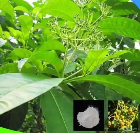Manufacture supply Natural Rauwolfia Extract Reserpine 99% CAS:50-55-5