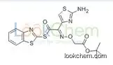 89605-09-4     C18H18N4O4S3  (S)-2-Benzothiazolyl (Z)-2-(2-aminothiazole-4-yl)-2-methoxycarbonylmethoxyiminothioacetate