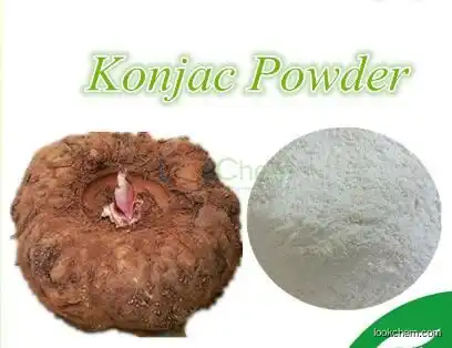 Konjac powder for food additive best price in bulk healthy product konjac flour