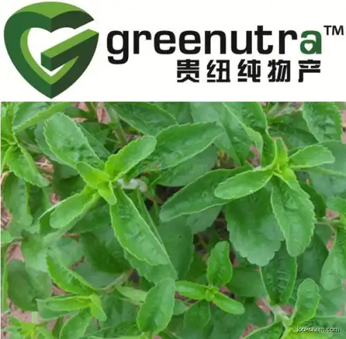 Stevia Extract Stevioside:80% ,90%,92%,95% by HPLC