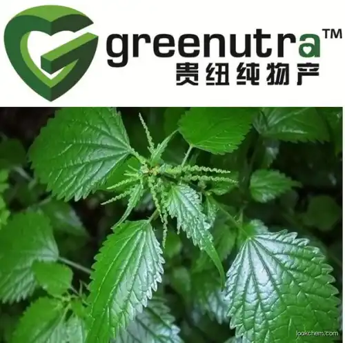Nettle Seed root  Extract