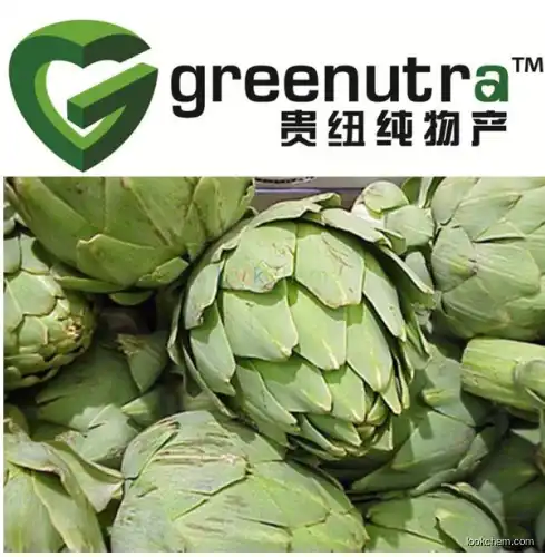 GMP Supplier artichoke leaf extract