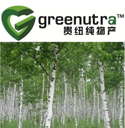 Birch Bark Extract/Betula alba Extract