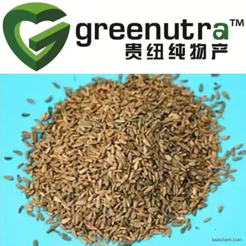 Burdock Seed Extract/arctium lappa extract
