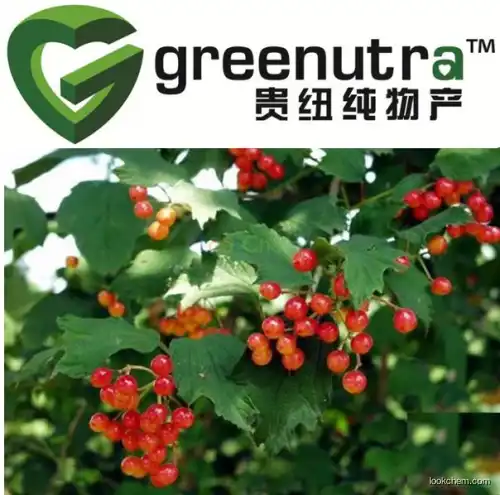 Bearberry leaf extract powder