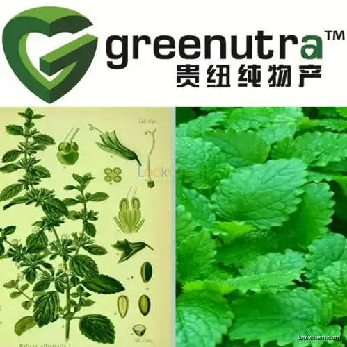Melissa Officinalis Extract
