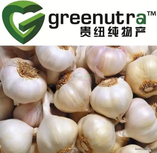 aged black garlic feed grade garlic Allicin extract powder