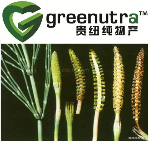 GMP factory supply bottebrush extract/equisetum arvense extract