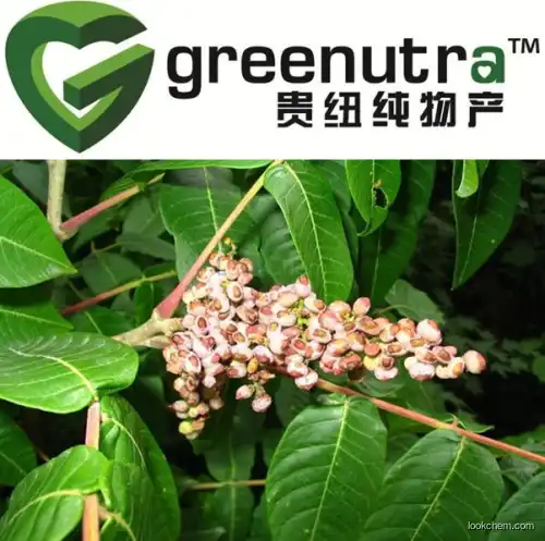 chinese gall extract