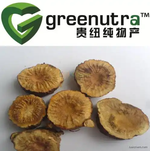 GMP manufacturer Garden Burnet Root Extract