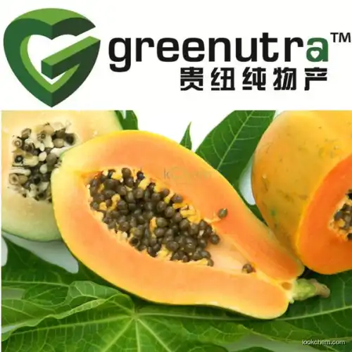 100% Natural Papaya Enzyme Papain