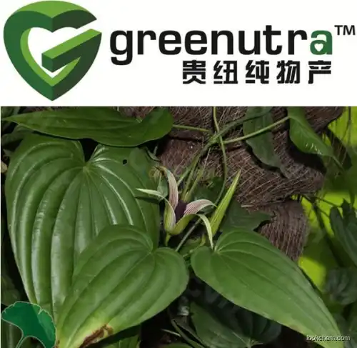 GMP manufacturer Sessil Stemona Root Tuber Extract/stemonae extract powder
