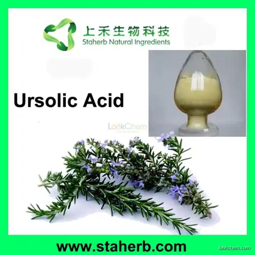 Carnosic Acid, Ursolic Acid, Rosmarinic Acid Rosemary Extract(77-52-1)
