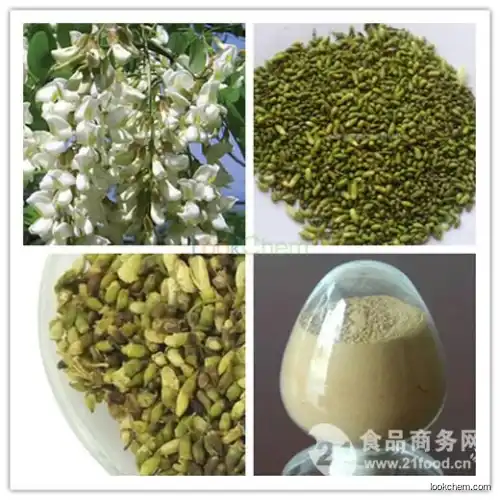 Factory supply Sophora Japonica extract / Sophora Japonica extract / Rutin