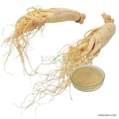 Factory Supply Ginseng Extract/80% Ginsenosides