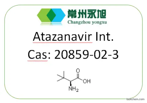 Strong Project / Atazanavir Intermediate / L-tert-Leucine / CAS#20859-02-3 / 99%min
