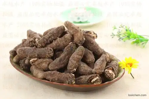 High quality manufacturer supply pure Sea Cucumber extract Powder
