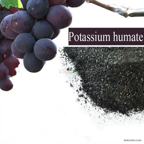 Fertilizer 100% water solibility Potassium Humate(68514-28-3)