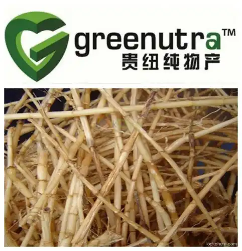 Top Quality Imperata cylindrica extract Powder Cylindrin