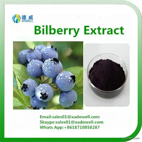 High Quality Bilberry Extract Anthocyandins 5-25%()