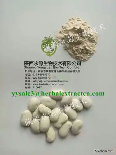 White Kidney Bean Extract, 1%Phaseolamin,CAS NO.:85085-22-9, natural weight lose ingredient, Shaanxi Yongyuan Bio-Tech(85085-22-9)