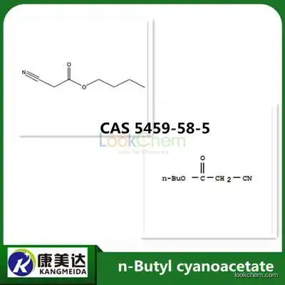 n-Butyl cyanoacetate CAS 5459-58-5(5459-58-5)