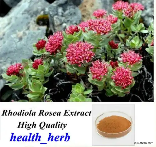 Rhodiola Rosea Extract(84954-92-7)