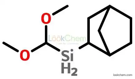 2-(dimethoxymethylsilyl)-bicyclo[2,2,1]heptanes(104821-32-1)