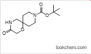 tert-butyl 3-oxo-1-oxa-4,9-diazaspiro[5.5]undecane-9-carboxylate（1160247-07-3）