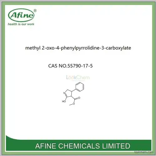 high purity  methyl 2-oxo-4-phenylpyrrolidine-3-carboxylate  cas no.13001-40-6