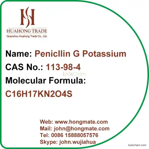 High Quality Penicillin Antibiotic GMP Factory Amoxicilline Trihydrate(113-98-4)