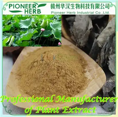 Lotus Leaf extract Nuciferine