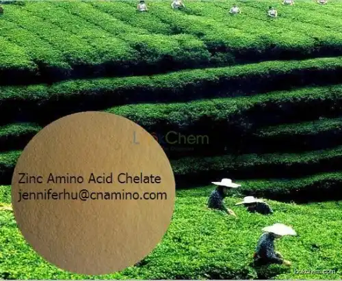 Amino Acid Chelated Zinc