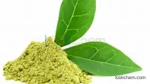 Ethyl Acetate Free- Green Tea Extracts