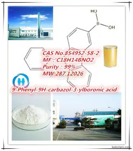 manufacturerof  hot salle  regualar production 9-Phenyl-9H-carbazol-3-ylboronic acid
