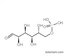 D-Glucose 6-phosphate D(+)-GLUCOPYRANOSE 6-PHOSPHATE