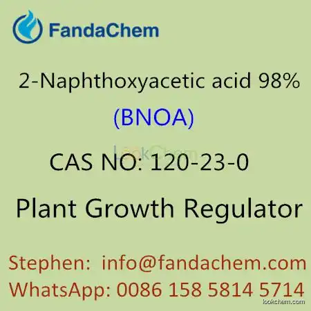 2-Naphthoxyacetic acid 98% (BNOA),CAS NO:120-23-0